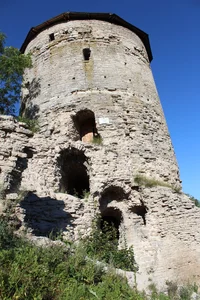 20220812181235_IMG_1575.JPG 20220812181235_IMG_1575.JPG