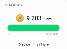 Screenshot_20220813-180459_Samsung Health.jpg