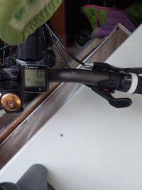20220808_061914.jpg