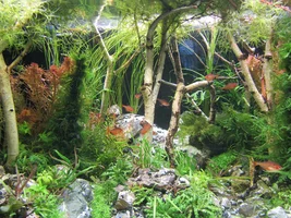 IMG_3869.webp IMG_3869.webp