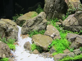 IMG_3875.webp IMG_3875.webp