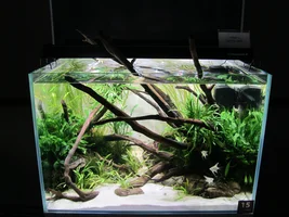 IMG_3880.webp IMG_3880.webp