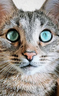 Screenshot_20220830_081736.jpg Screenshot_20220830_081736.jpg