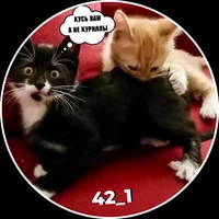 20220831_092846_0000 (2).webp