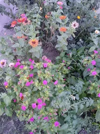 IMG_20220902_191401.webp
