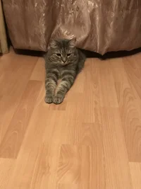 08793208-FFB0-4861-B0A9-EB71B4F4FB0D.webp 08793208-FFB0-4861-B0A9-EB71B4F4FB0D.webp