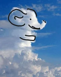 IMG_20220905_214828.webp IMG_20220905_214828.webp