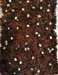 IMG_20220910_093106.webp IMG_20220910_093106.webp