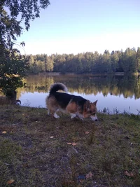 IMG_20220910_092837.webp