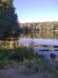 IMG_20220910_091814_1.webp