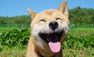 05396def84a65f3708d8395231a2960c.webp 05396def84a65f3708d8395231a2960c.webp