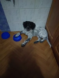 9VrlelRYrgw.webp 9VrlelRYrgw.webp