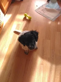 IMG_20211019_123448.webp IMG_20211019_123448.webp