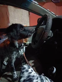 IMG_20211221_202408.webp IMG_20211221_202408.webp