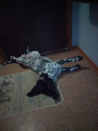 IMG_20220114_121701.webp IMG_20220114_121701.webp