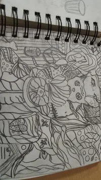 IMG-20210603-WA0017.jpg IMG-20210603-WA0017.jpg