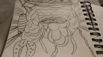 IMG-20210603-WA0015.jpg IMG-20210603-WA0015.jpg