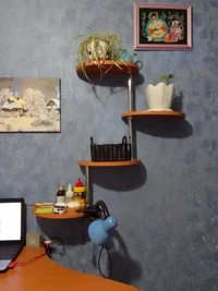 IMG_20220924_204224.jpg IMG_20220924_204224.jpg