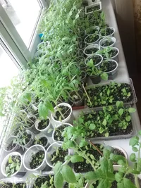 1460013141053-795496987.webp 1460013141053-795496987.webp