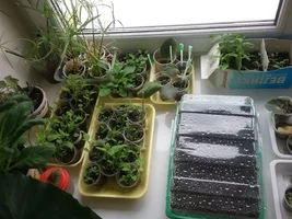 1460013351306-569226521.webp 1460013351306-569226521.webp