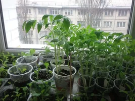 1460013367928-92645847.webp 1460013367928-92645847.webp