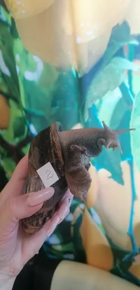 IMG_20220927_094622.jpg IMG_20220927_094622.jpg