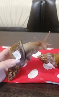 IMG_20220927_112015.jpg IMG_20220927_112015.jpg