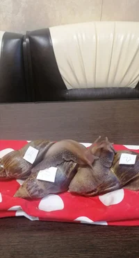 IMG_20220927_112616.webp IMG_20220927_112616.webp