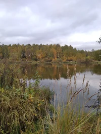 IMG_20221002_110600_1.webp IMG_20221002_110600_1.webp