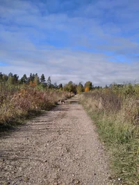 IMG_20221002_112642_1.webp IMG_20221002_112642_1.webp