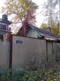 IMG_20221002_113019.webp IMG_20221002_113019.webp