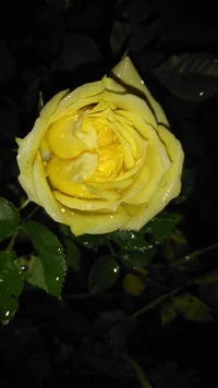 2022-06-27 21-46-09.webp