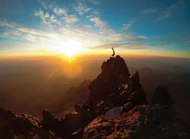 IMG_20221016_141636.webp IMG_20221016_141636.webp