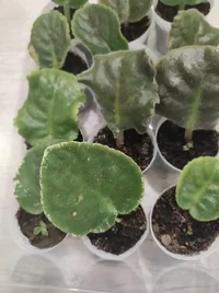 IMG_20221017_191421.jpg IMG_20221017_191421.jpg