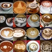 IMG_20221022_073150.webp IMG_20221022_073150.webp