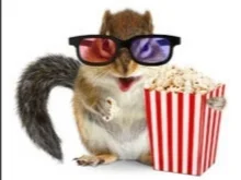 IMG_20221026_205938.webp IMG_20221026_205938.webp