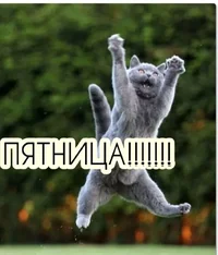 2022-10-28-06-30-33.webp 2022-10-28-06-30-33.webp