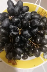 IMG_20221028_212522.jpg IMG_20221028_212522.jpg