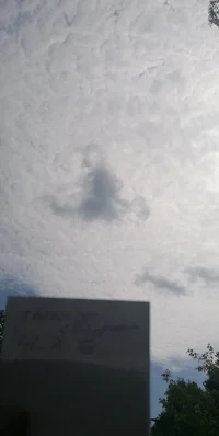 IMG_20221028_222815.webp IMG_20221028_222815.webp