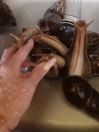 IMG_20221028_225434.webp IMG_20221028_225434.webp