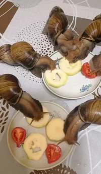 IMG_20221028_225400.webp IMG_20221028_225400.webp