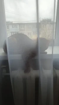 5C8D3334-6653-4ADC-9166-4750812583B7.webp 5C8D3334-6653-4ADC-9166-4750812583B7.webp