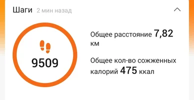 Screenshot_20221031-231254_Zepp Life.webp