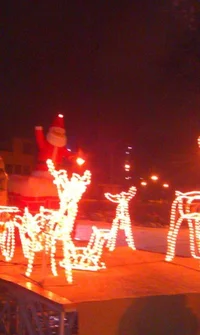 ЕЛКА У КОСТЕЛА.webp