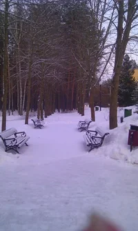 ЗИМНЯЯ ТАЛЬКА.webp