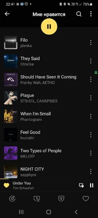 Screenshot_20221103-224146_Yandex Music.webp