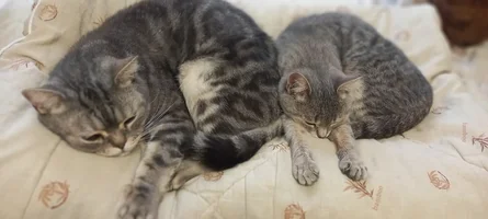 20221104_155818.webp 20221104_155818.webp