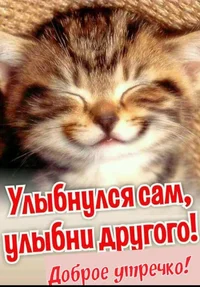 Dobroe_utro_zhivotnye_smeshnye_2_19120040.webp Dobroe_utro_zhivotnye_smeshnye_2_19120040.webp