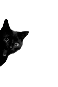 2548CBBD-06DF-4CD8-920E-5EFAC75766C0.webp 2548CBBD-06DF-4CD8-920E-5EFAC75766C0.webp