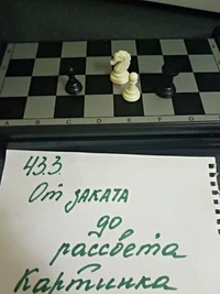 13 шахматы.webp